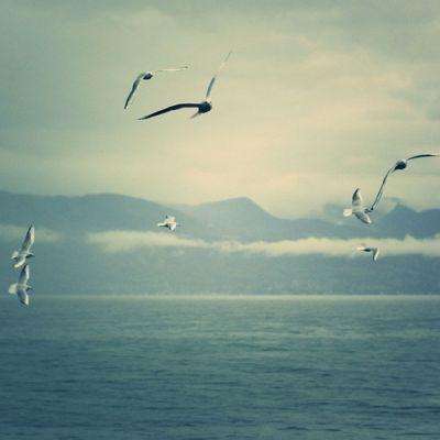 倒计时2天 | 和利时即将闪耀CIHC...