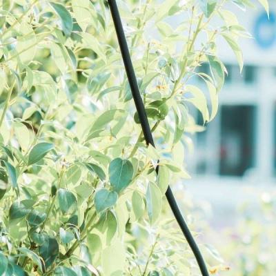 2026 CAIMRS圆满收官,擎旗“十...